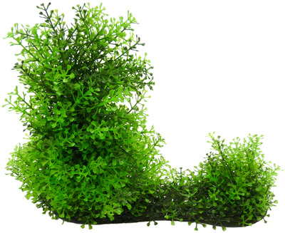 Aqua Dekore Hygro Aquarium Plant Extra Large