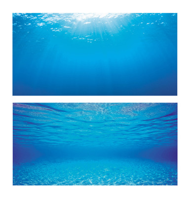 Juwel Aquarium Background Blue Water Poster 2 Double Sided 150 x 60cm XL -  The Aquarium Shop Australia