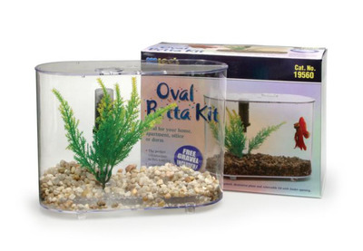 Lees Oval Betta Kit 2.9 Litres