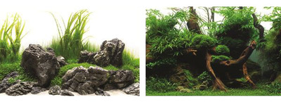 Seaview Aquarium Background Double Sided 15.24 metres x 29.5cm - Green Spike-Amazonia