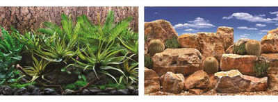Seaview Aquarium Background Roll Double Sided 15.24 metres x 45.7cm - Tropical Terrarium-Desert Sky
