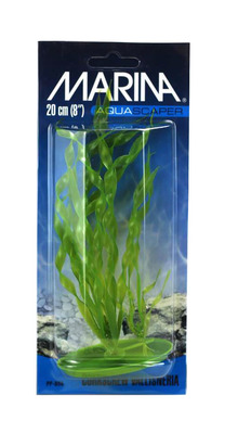 Marina Aquascaper Corkscrew Vallisneria Aquarium Plant Medium