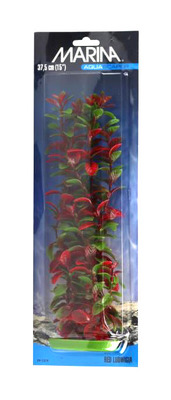 Marina Aquascaper Red Ludwigia Aquarium Plant Extra Large