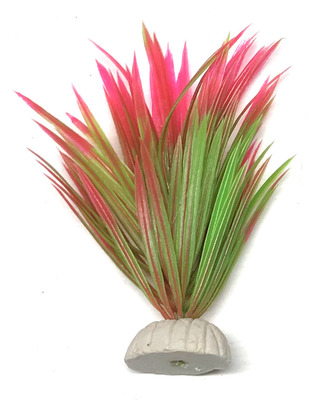 Mini Rush Grass Plant Light Green/Pink