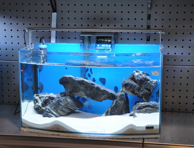 Mr Aqua Curved Frameless Glass Aquarium 28 Litres