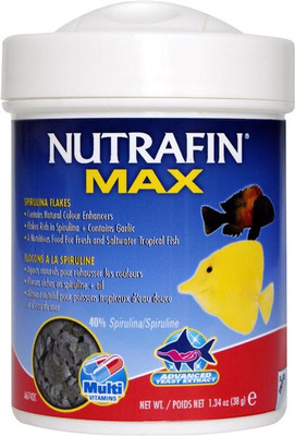 Nutrafin Max Spirulina Flake Fish Food 38g