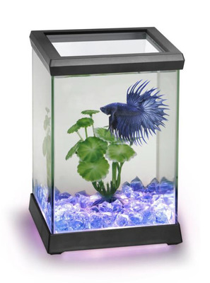 Ocean Free Betta Space Illuminated Glass Tank Black