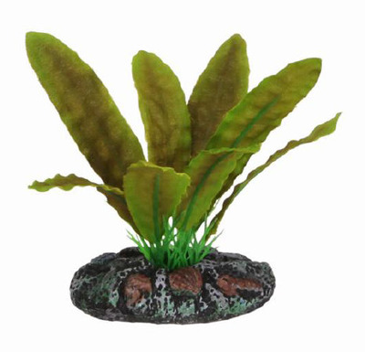Silktastics Ruffle Leaf Swordplant