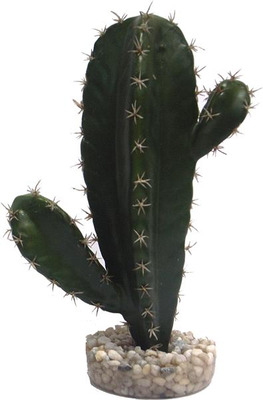 Sydeco Aquarium Plant Cactus Medium
