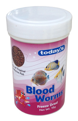 Todays Bloodworms Freeze Dried 10g