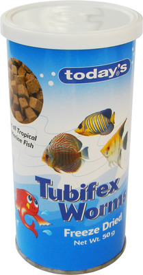 download tubifex worms live for sale download tubifex worms live for sale