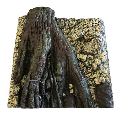 Tree Root in Rock Wall 58.5x58.5cm