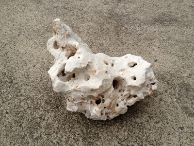 White Holey Rock $10 per kg