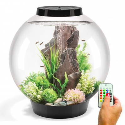 Biorb Classic 60 Circular Aquarium 60l Mcr Black The Aquarium