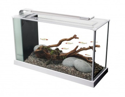 Fluval SPEC V2 Glass Aquarium 19Litre White