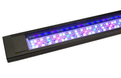 Fluval Flex Aquarium 123Ltr LED Marine Light Unit