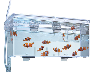 Fluval Holding and Breeding Box Multi chamber 1.9L