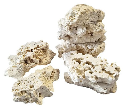 South Sea Stacks Marine Oolitic Aragonite 4.53kg