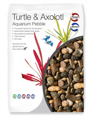 Turtle and Axolotl Aquarium Pebble 