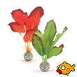 buy aquarium supplies and