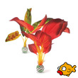 buy aquarium supplies and