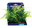 Amazon Jungle Amazon Fern Display 15cm Medium