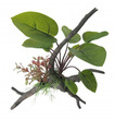 Aqua Dekore Anubius Span Plant on Branch 26cm