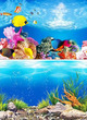 Aquarium Background Marine Fish/Rock Scape