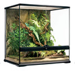 Exo Terra All Glass Medium Terrarium  60 x 45 x 60cm