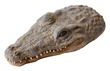 Exo Terra Croc Turtle Island 21 x 11 x 4cm