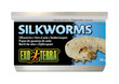 Exo Terra Canned Wild Silkworms Medium 34g