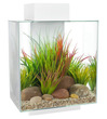 Fluval EDGE 2.0 Aquarium 46L White