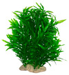 GLF Sea Grass Aquarium Plant Green 18cm