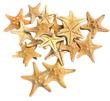 Horned Starfish Natural XSmall