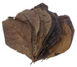 Indian Almond Leaves Medium 2nd grade 10 Pkt