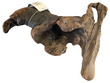 NZ Exotic Wood Medium 1 Piece