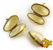 Sea Shell Jewellery