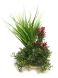 Sydeco Tropical Bouquet 20cm