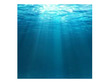 Underwater Rays Poster Background  for Aquarium Terrarium Vivarium