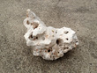 White Holey Rock $8.50 per kg