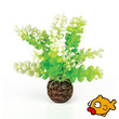 buy aquarium supplies and