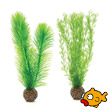 buy aquarium supplies and