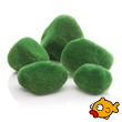 buy aquarium supplies and