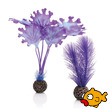 buy aquarium supplies and