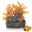 buy aquarium supplies and